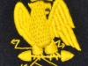 Aigle