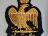 eagle_aigle